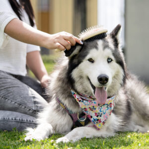 Cepillos para Mascotas Laika