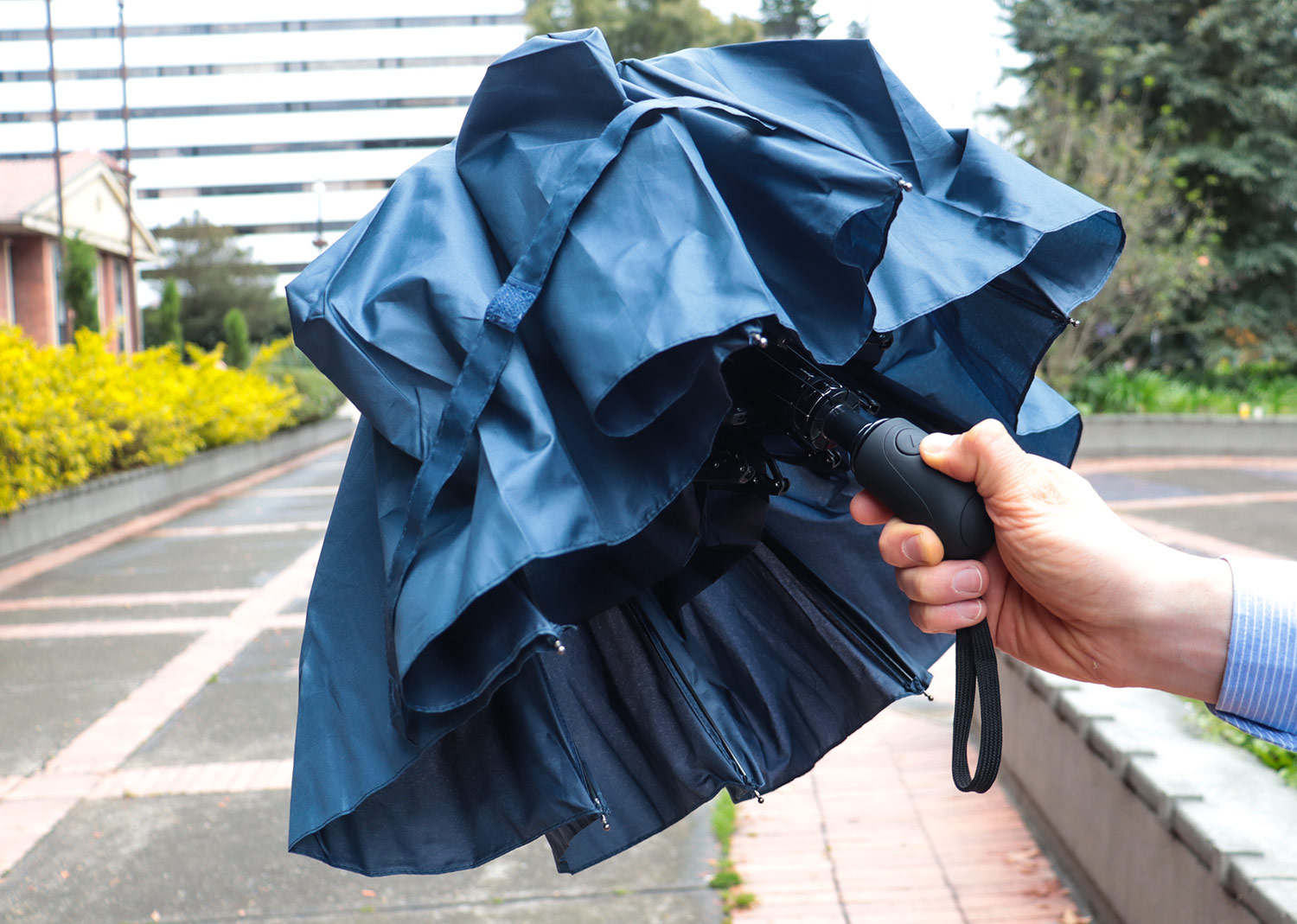 Variación azul-oscuro